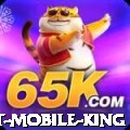 r7bet Mobile King